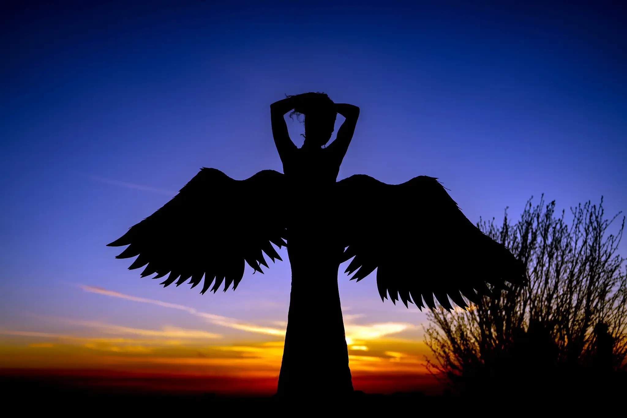 Silhouette with wide angel wings against a blue and orange dusk